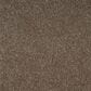 Mohawk Blended Moments Carpet in Oyster Bar, , large