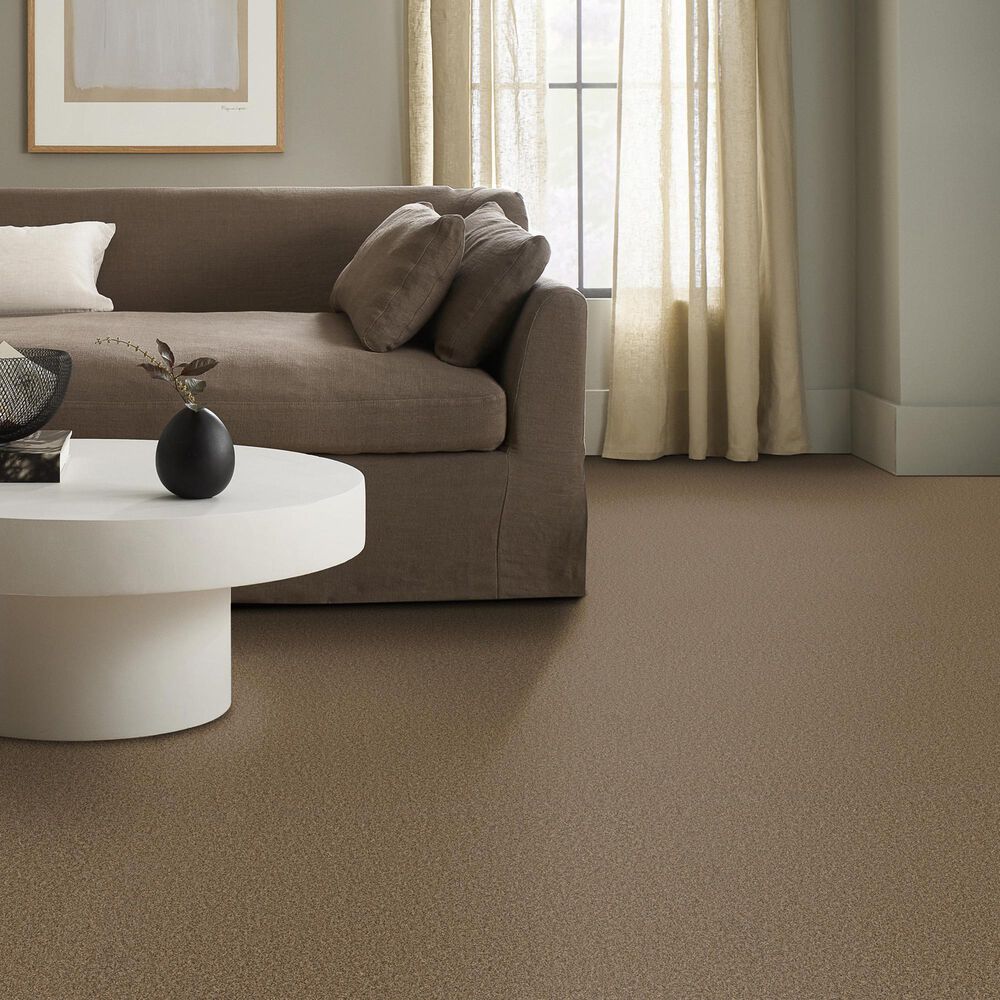 Anderson Tuftex Wyndham Estate Carpet in Nutshell, , large