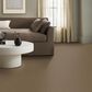 Anderson Tuftex Wyndham Estate Carpet in Nutshell, , large