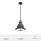 Hunter Bridgemoor 1-Light Pendant in Noble Bronze, , large