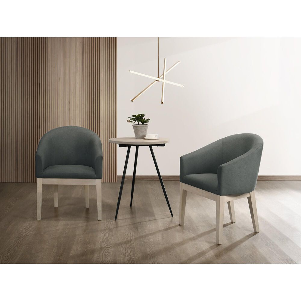 HOMLUX Barrel Accent Chair in Gray (Set of 2), , large