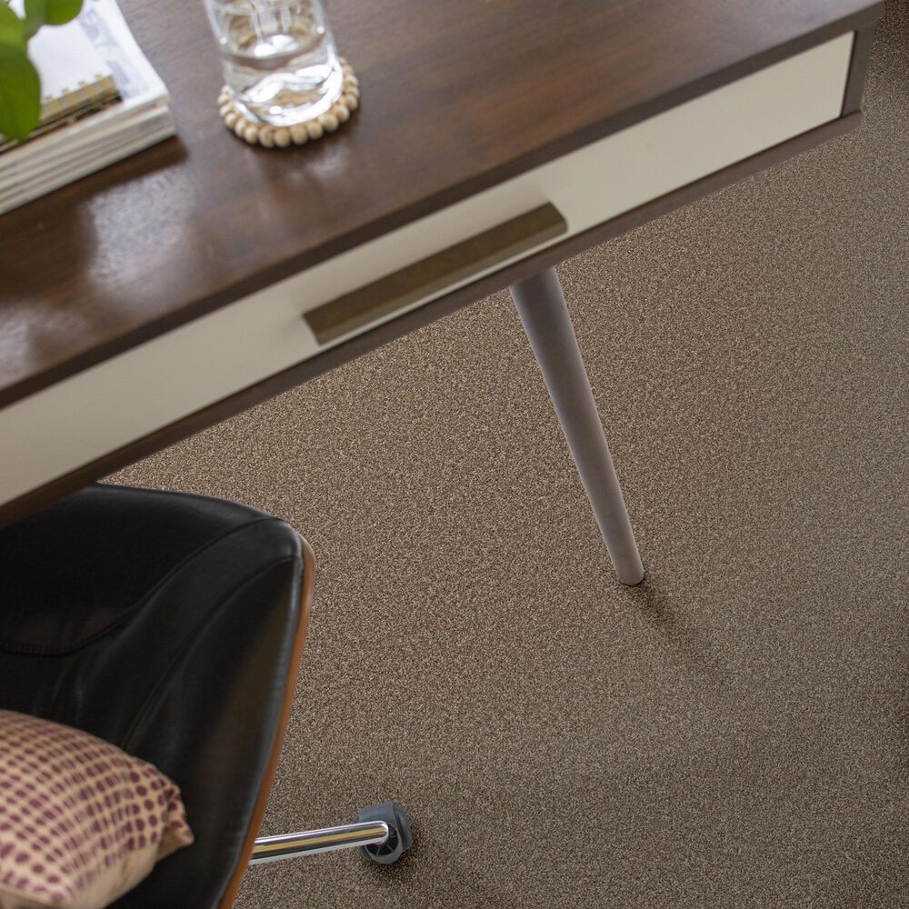 Shaw Imaginable I Carpet in Clay, , large