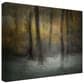 Timberlake Nel Talen "Dancing Trees" 35" x 47" Canvas Art in Brown/Grey/Black, , large