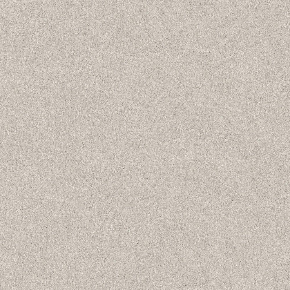 Shaw Tonal Comfort I Carpet in Warm Blanket, , large