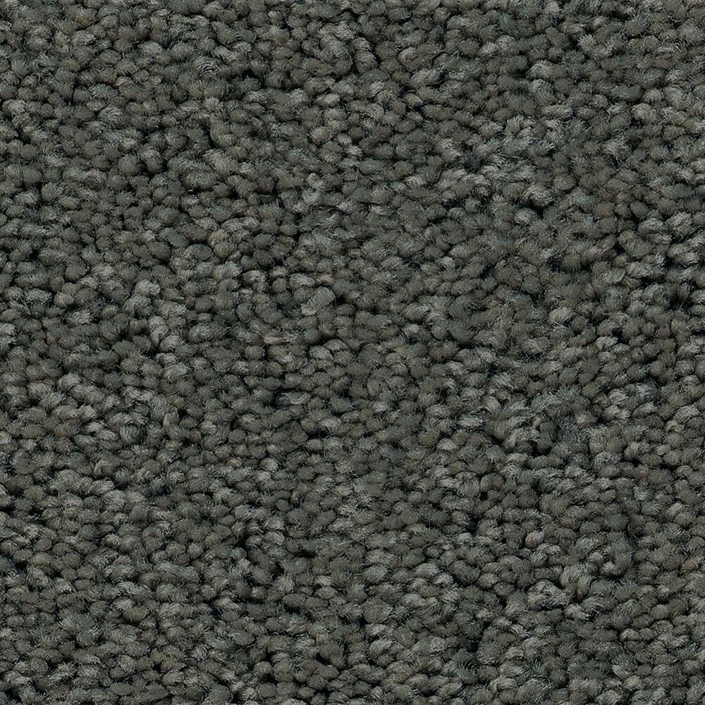 Shaw Las Cruces Carpet in Fig Leaf, , large