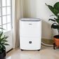 Whirlpool 30-Pint Dehumidifier in White, , large