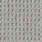 Anderson Tuftex Arden Park Carpet in Lunar, , large