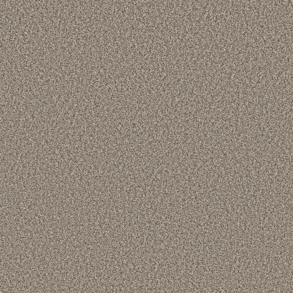 Shaw Prescott Valley Carpet in Pashmina, , large