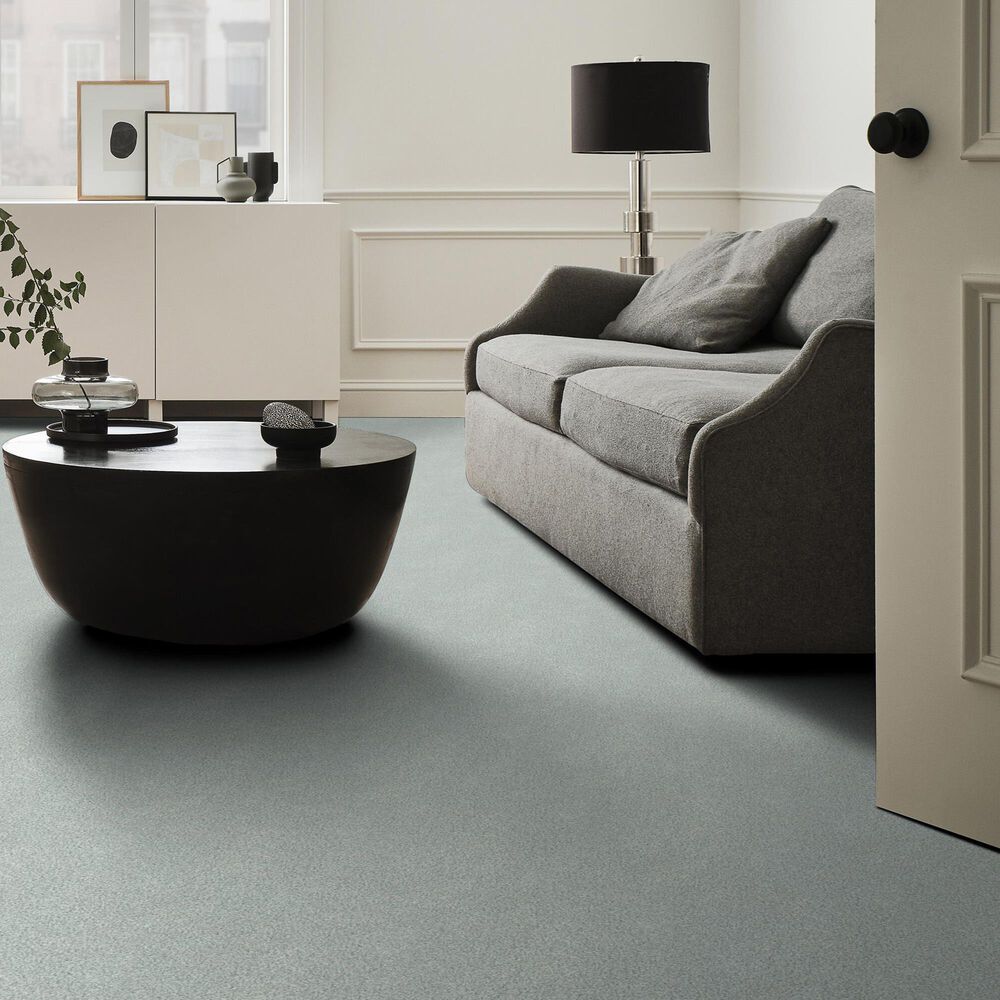 Shaw Tonal Comfort Ii Carpet in Refreshed, , large
