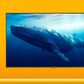 Element 500 Series Xumo 98" Class 4K UHD with HDR - Smart TV, , large