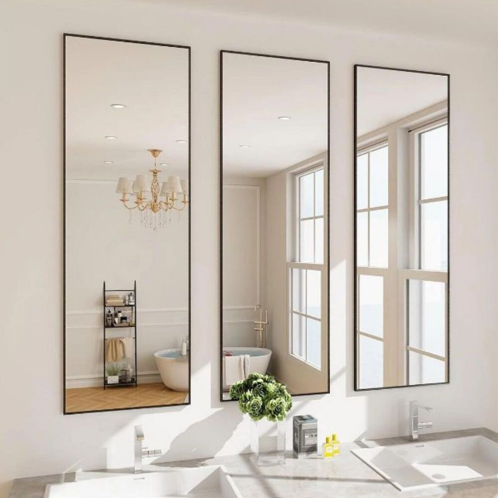 HOMLUX 16" x 50" Door Wall Mount Mirror in Black, , large