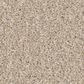 Shaw Imaginable II Carpet in Dunes, , large