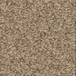 Shaw Del Rio I Carpet in Dune, , large