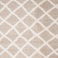 Safavieh Dallas Shag SGD258D-10 10" x 14" Beige/Ivory Area Rug, , large
