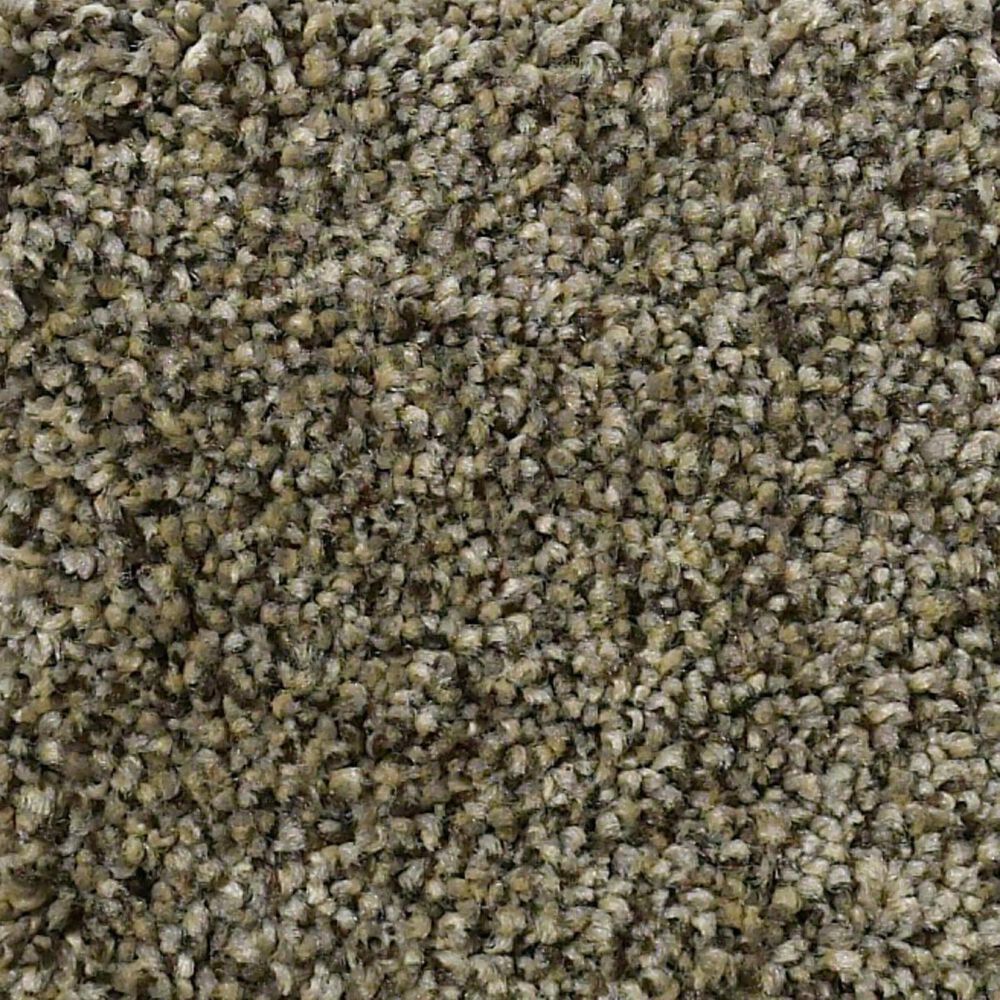 Anderson Tuftex Bear Carpet in Resonant, , large