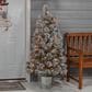 The Gerson Company 4.5" Potted Pre-Lit Flocked Pine Artificial Needle Boise Pine with White Lights in Green, , large