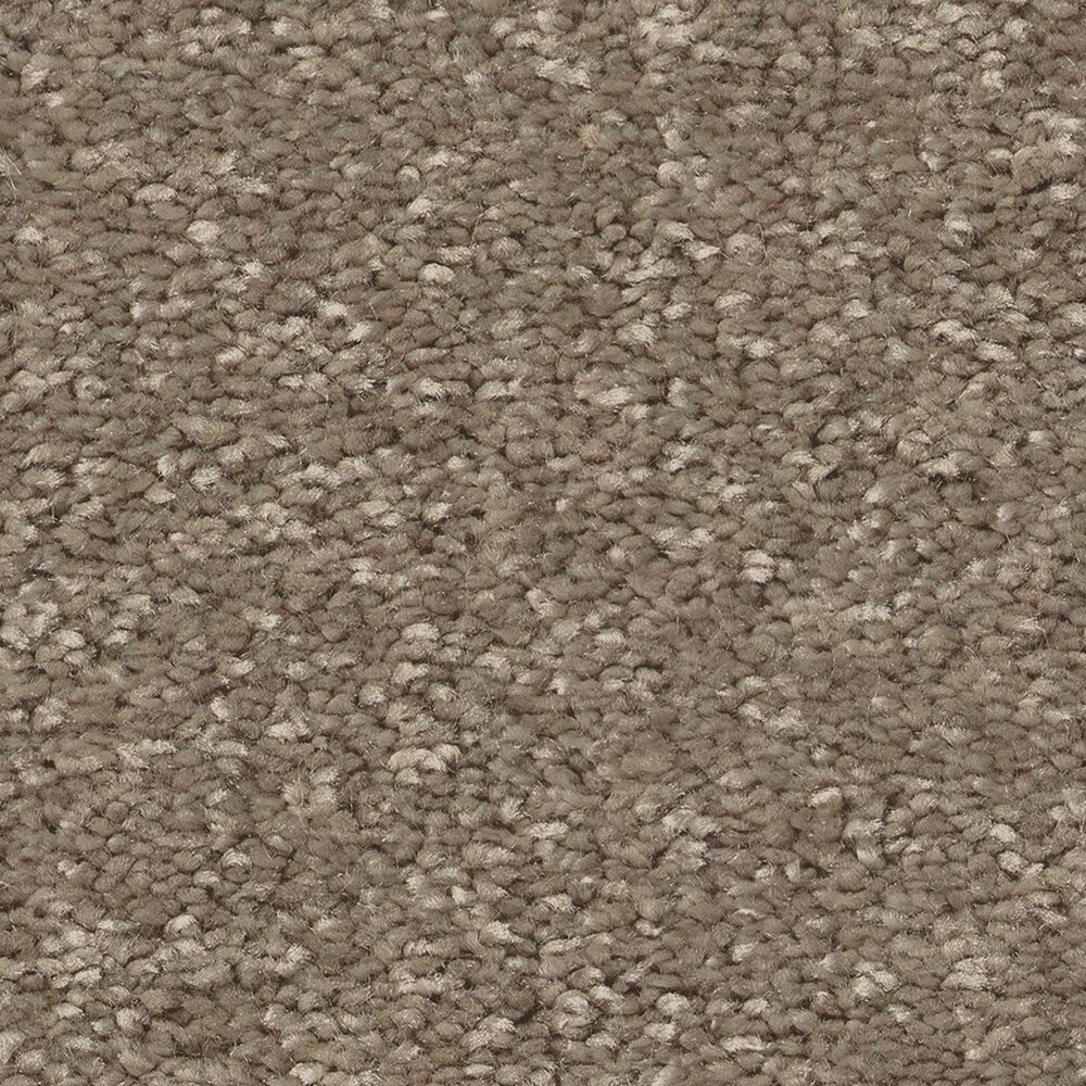 Shaw Bold Move Plus Carpet in Boardwalk, , large