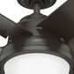 Hunter Seawall 44" Outdoor Ceiling Fan with LED Lights in Noble Bronze, , large