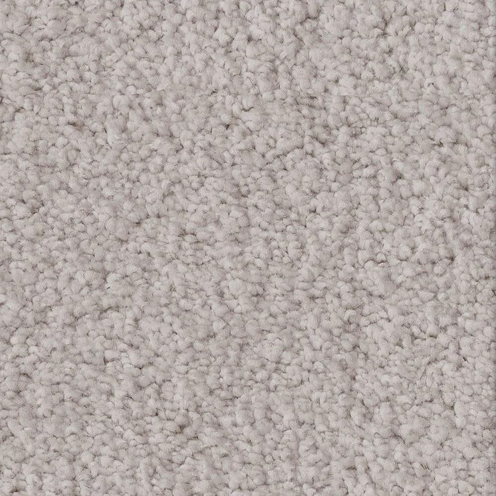 Anderson Tuftex Luxe Feel II Carpet in Bismuth, , large