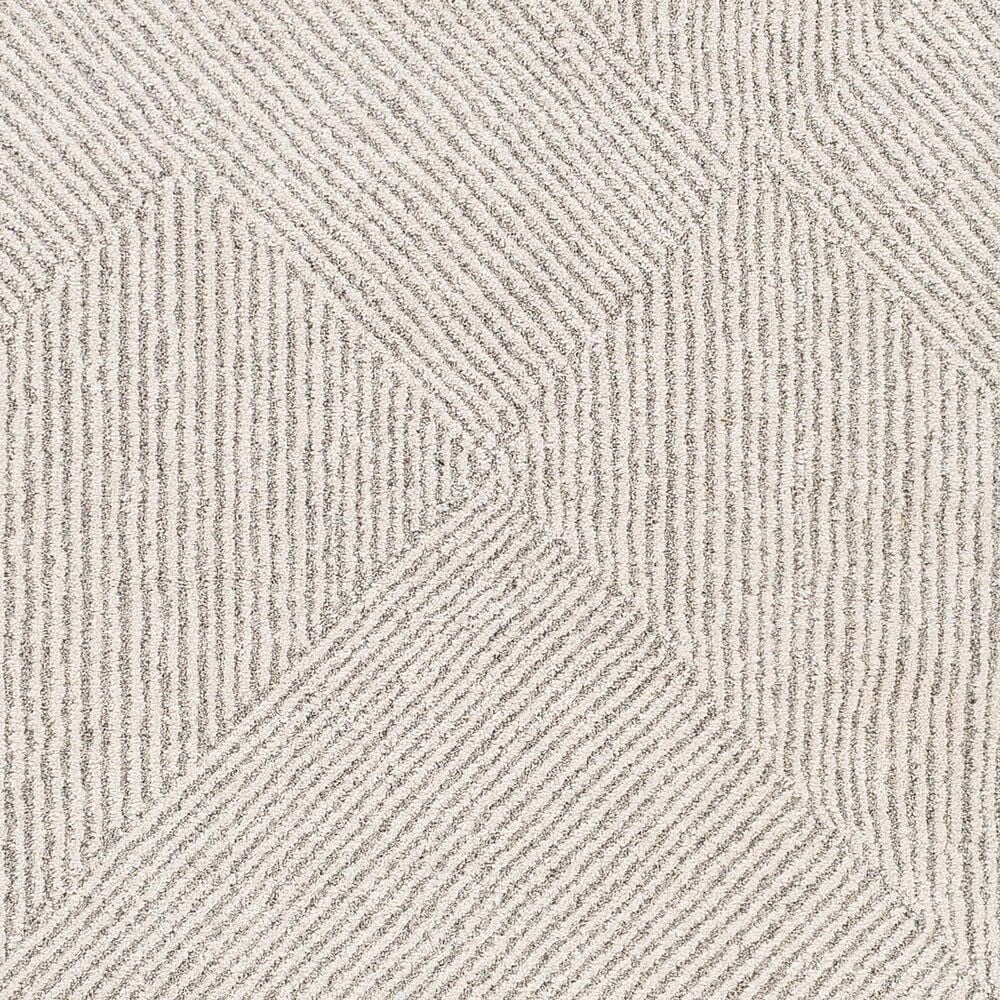 Surya Gavic 2&#39; x 3&#39; Gray and Beige Area Rug, , large