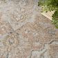 Nourison Astra Machine Washable 4" x 6" Beige Area Rug, , large