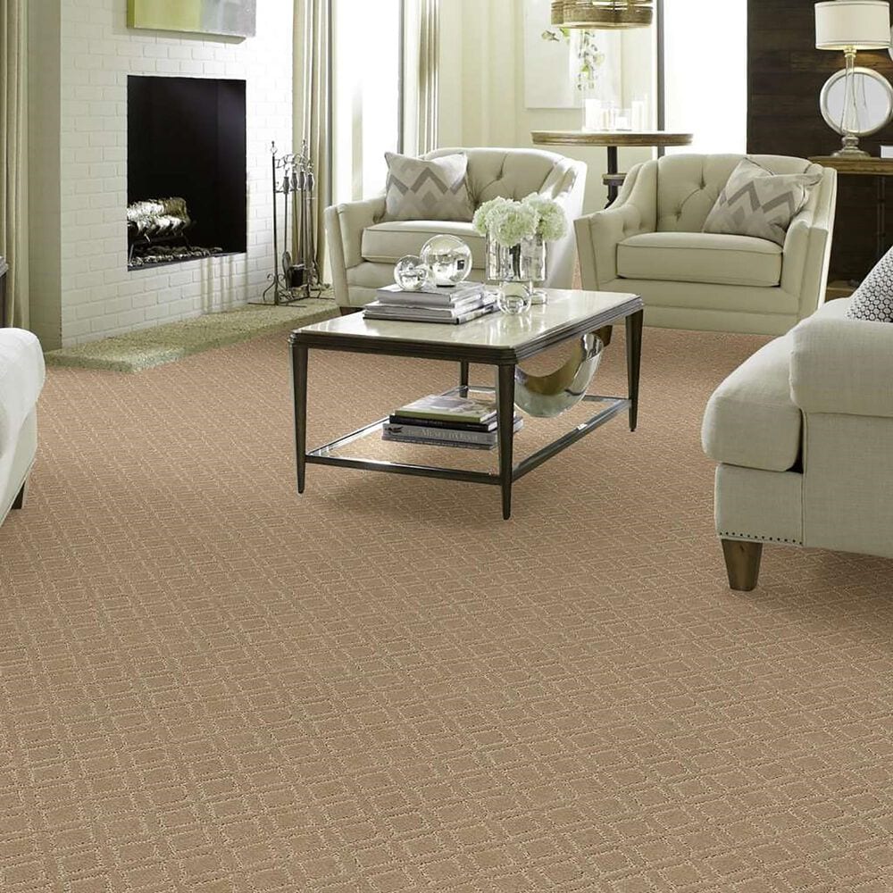 Anderson Tuftex Renoir Carpet in Coronado, , large