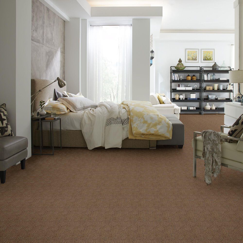 Anderson Tuftex Luna Carpet in Desert Beach Nebraska Furniture Mart