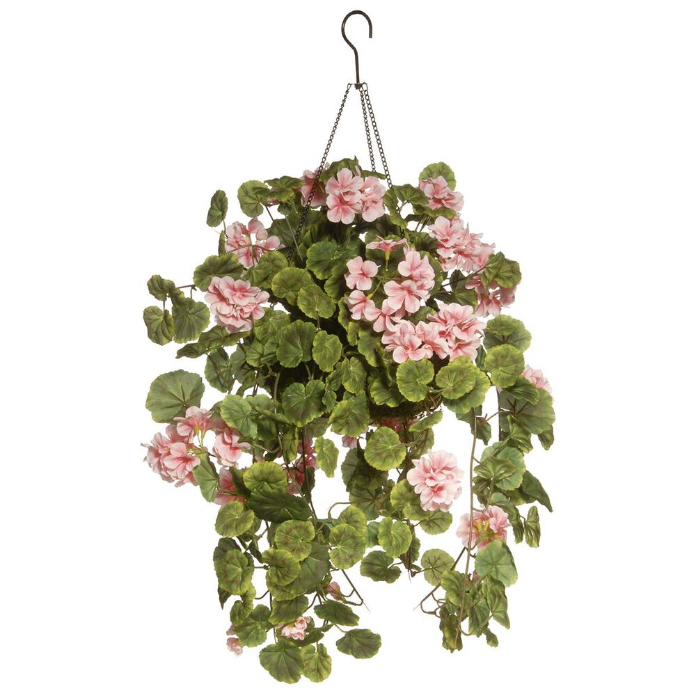 National Tree 11" Geranium Plant in in Hanging Basket, , large
