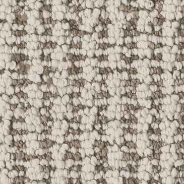 Anderson Tuftex Laine Carpet in Dune, , large