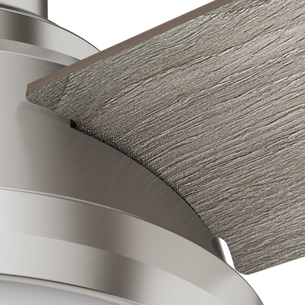 Hunter Dempsey Low Profile 44&quot; Ceiling Fan with Light Gray Oak Blades in Brushed Nickel, , large