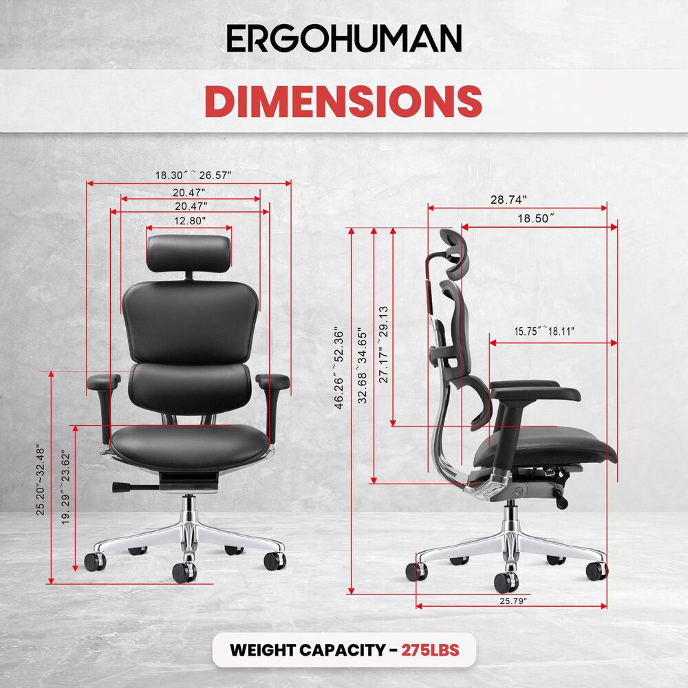 Raynor Group Ergohuman High Back Leather Executive Chair in Black, , large