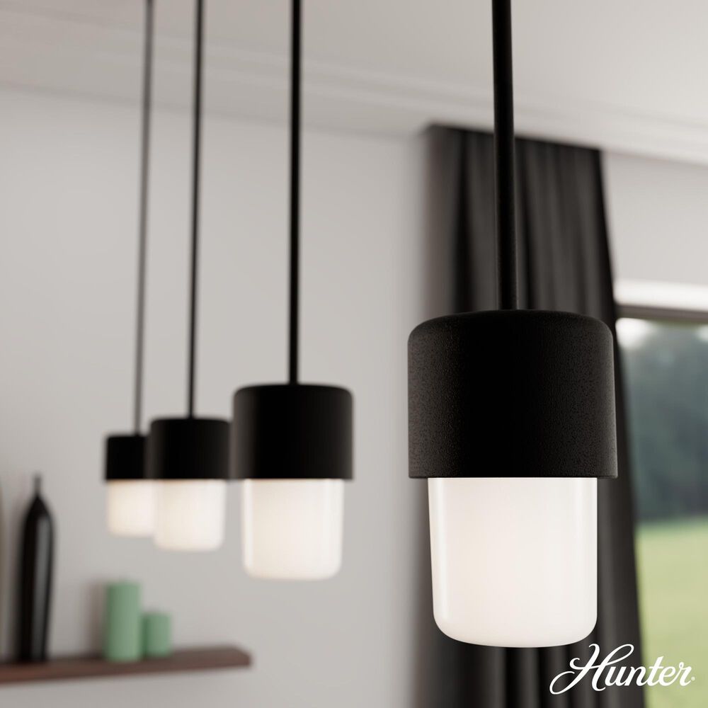 Hunter Station 1-Light Mini Pendant in Natural Iron, , large