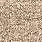 Shaw Roamer Carpet in Arizona Tan, , large