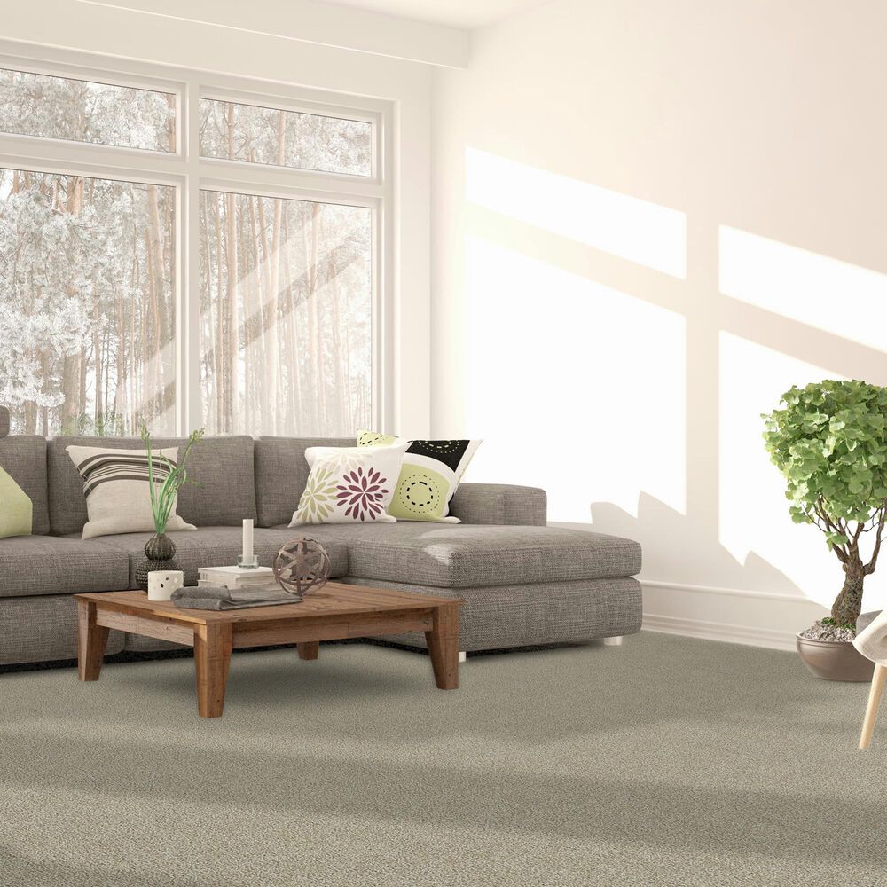 Dream Weaver Breakview I Carpet in Coconut Shell, , large