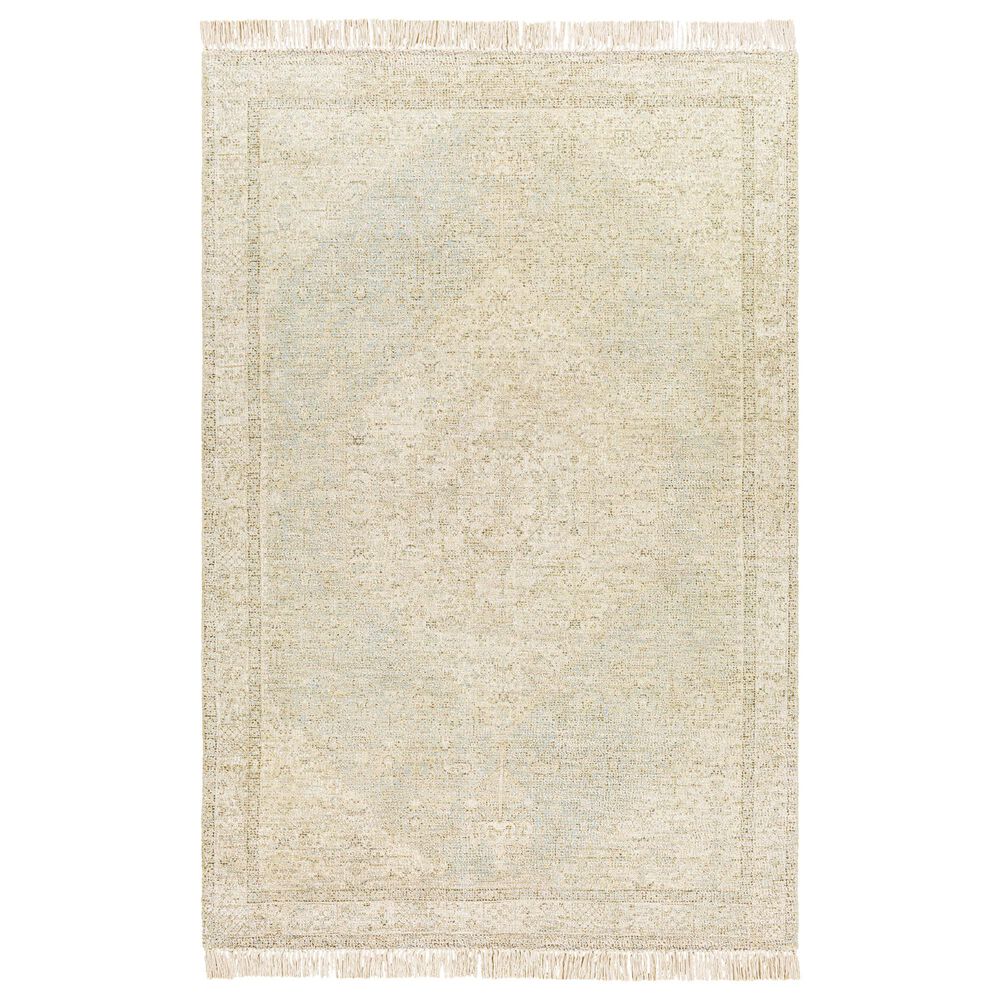 Surya Amasya 8" x 10" Brown, Aqua and Beige Area Rug, , large