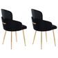 Lumisource Dahlia Dining Arm Chair with Black Velvet Cushion in Gold (Set of 2), , large