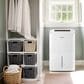 Amana 50-Pint Dehumidifier with Pump in White, , large