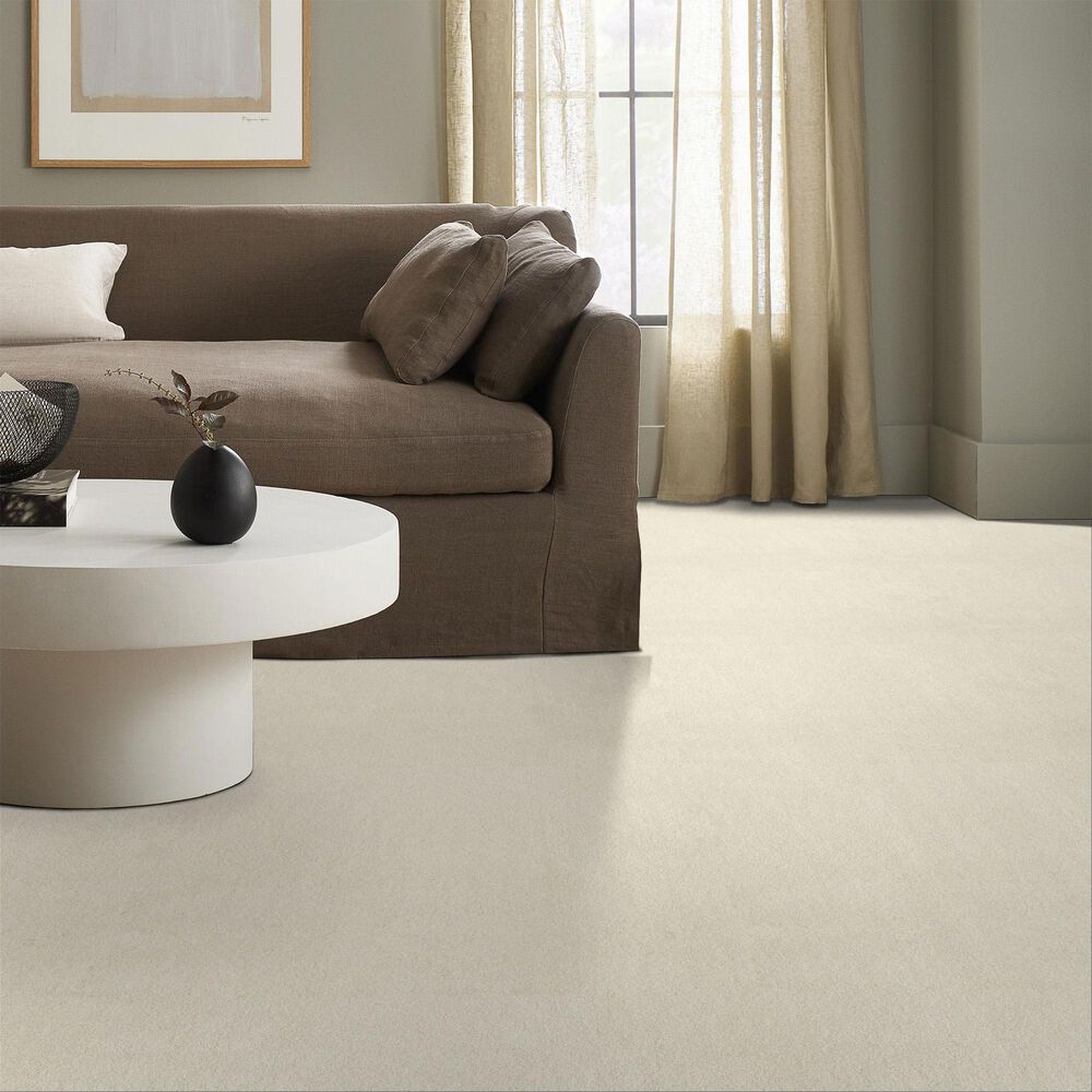 Anderson Tuftex Luxe Feel II Carpet in Icelandic, , large