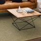 Drew and Jonathan Home Paloma 6" x 9" Lichen Area Rug, , large