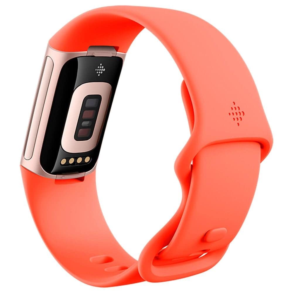 Fitbit Charge 6 Fitness Tracker Watch 36mm Champagne Gold Aluminum Case with Coral Band, , large