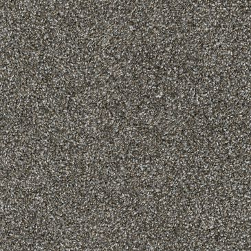 Dixie Home Main Force Carpet in Slate, , large