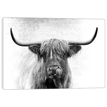 Rocky Mountain Publishing Tongue Twister 20" x 30" Wall Art in Black, , large
