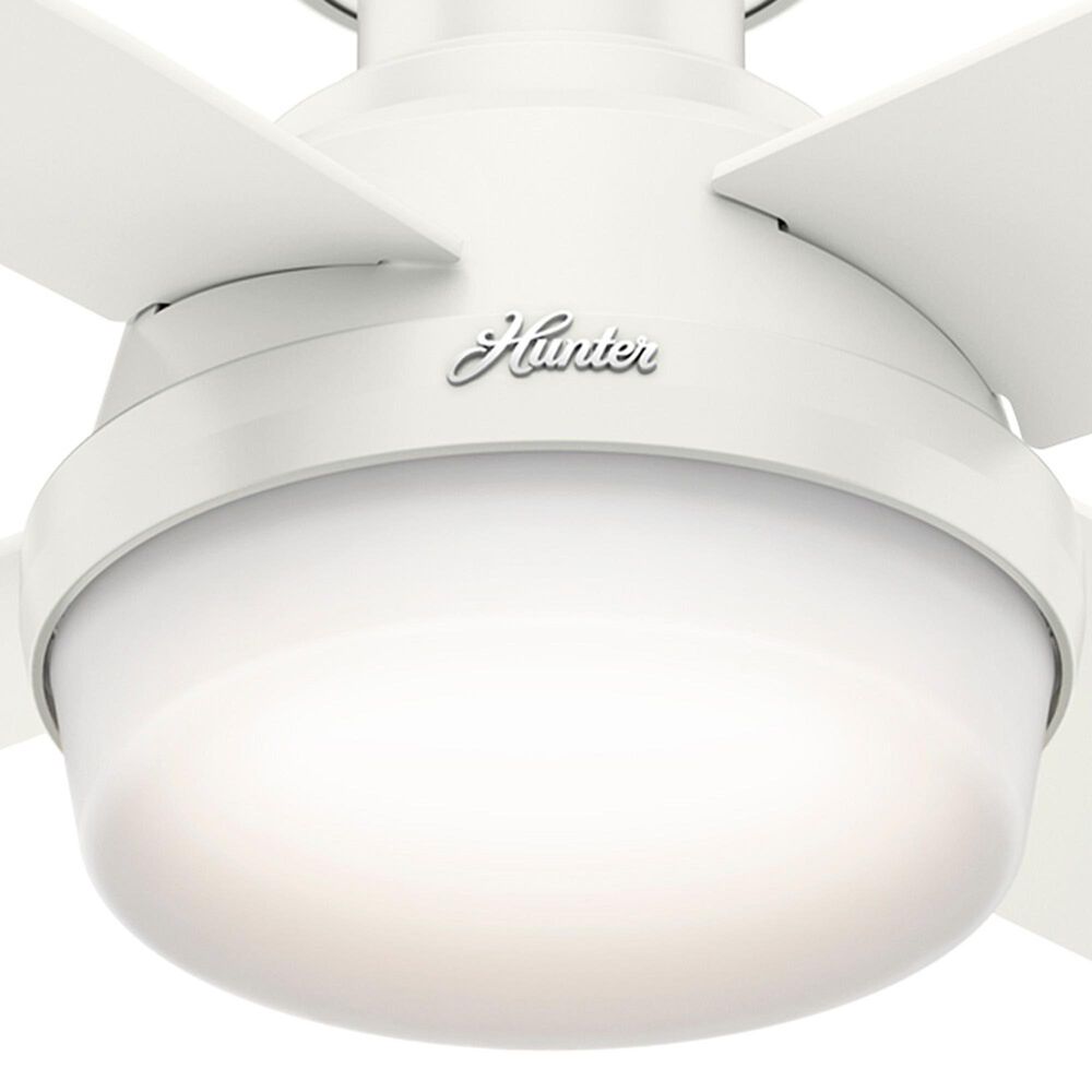 Hunter Dempsey 44&quot; Low Profile Ceiling Fan with Light in Fresh White, , large