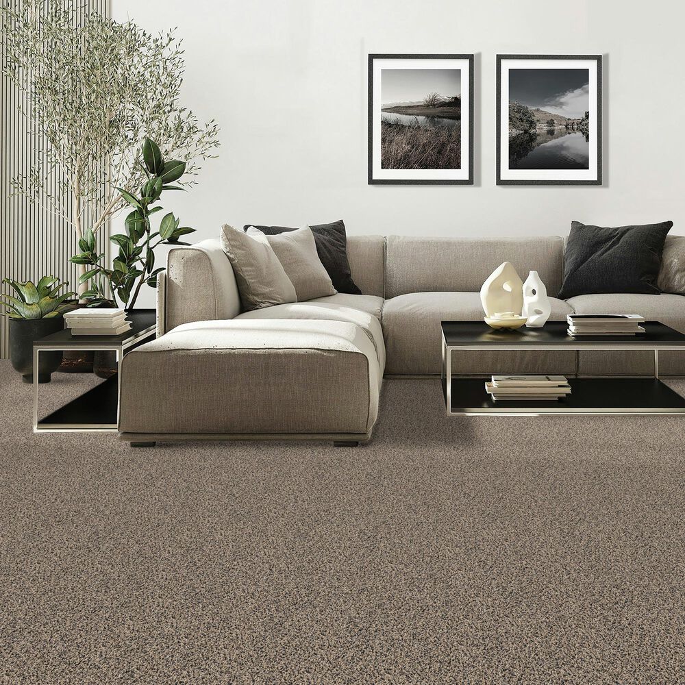 Mohawk Diffurent Choice II Carpet in Heron, , large