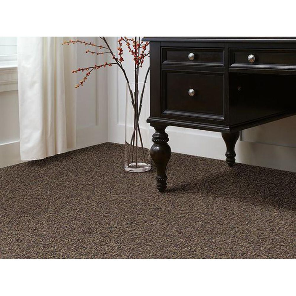 Shaw Franchise II 26 Carpet in Fruitwood, , large