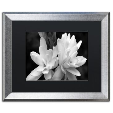Timberlake 16" x 20" Tuber Rose in Black and White Art in Black Matting and Silver Frame, , large