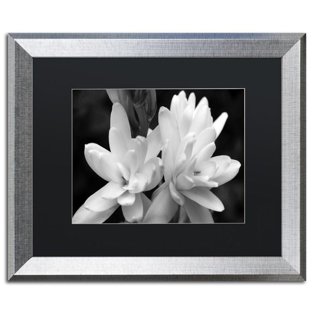 Timberlake 16" x 20" Tuber Rose in Black and White Art in Black Matting and Silver Frame, , large