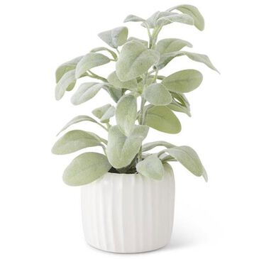 K & K Interiors 11" Lambs Ear in White Pot, , large