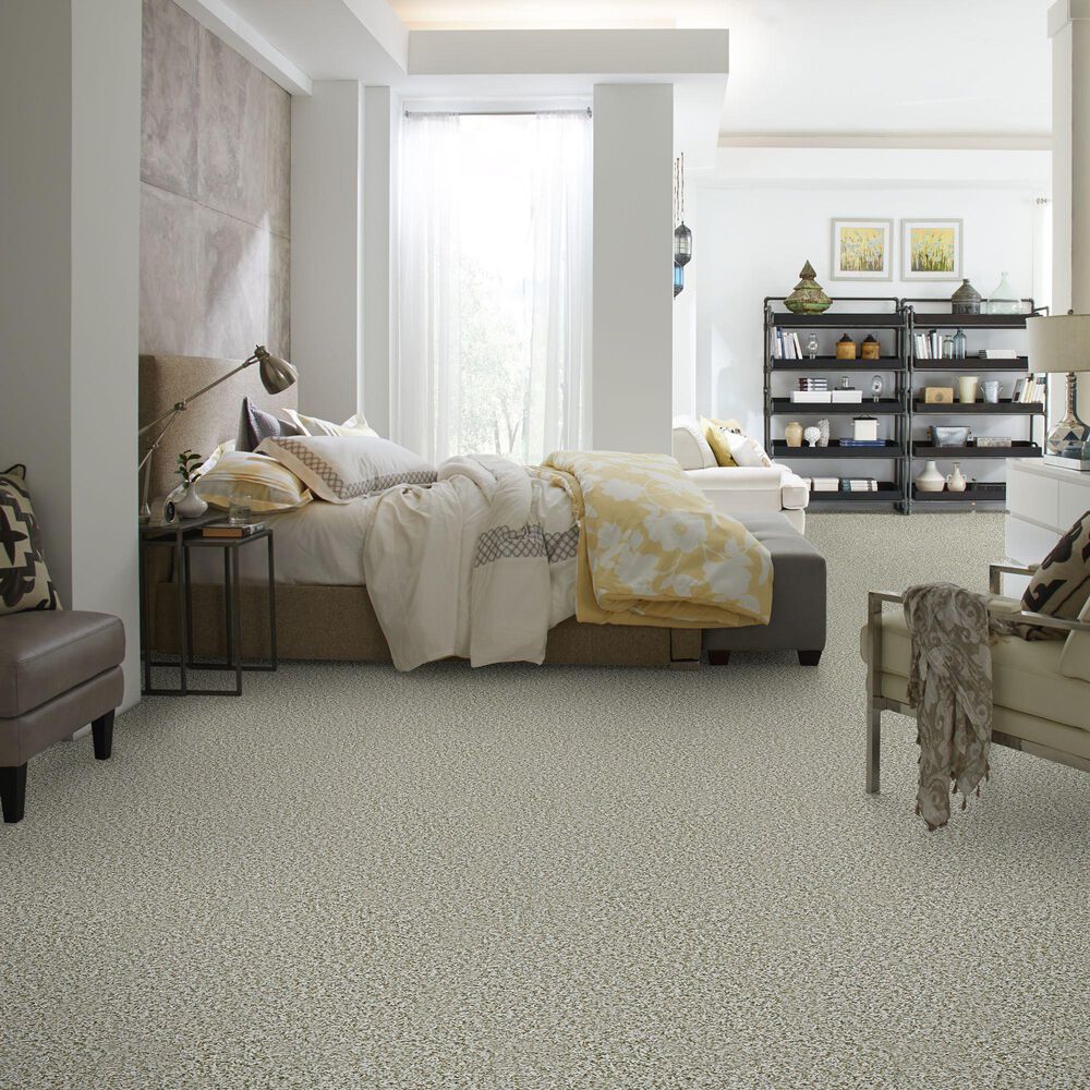 Shaw Break Away Tonal Carpet in Snow Peak, , large