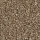 Shaw Posh Life Carpet in Mission Ridge, , large